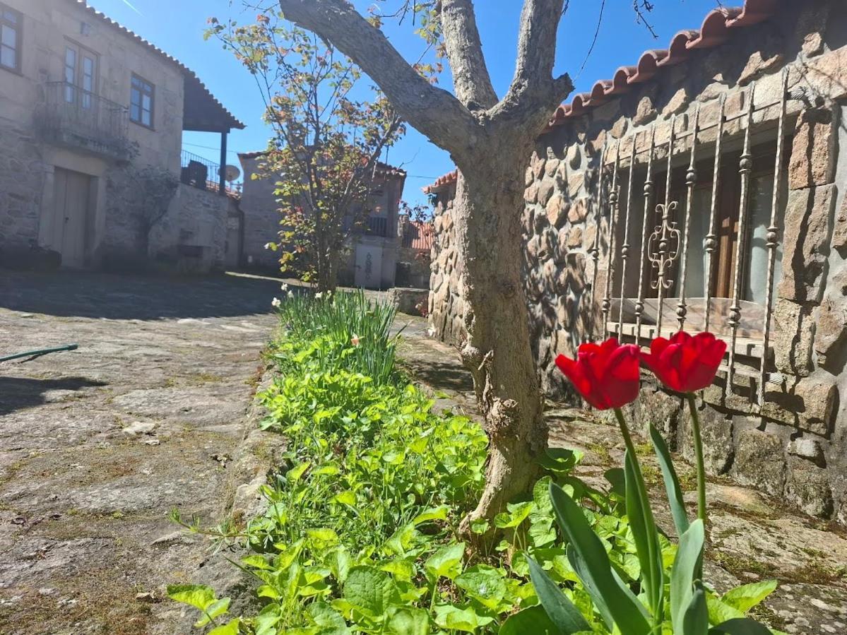Casas Do Juizo - Country Houses מראה חיצוני תמונה