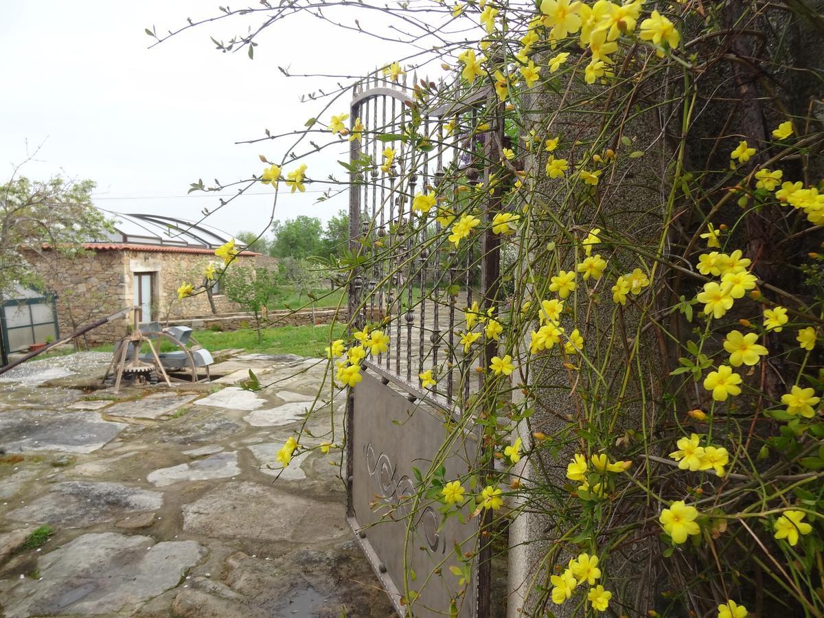 Casas Do Juizo - Country Houses מראה חיצוני תמונה